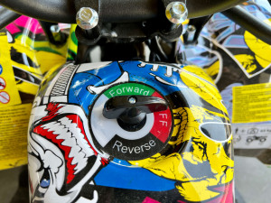 ATV electric pentru copii Hecht 56800 COMIC, 800 W, 20 km/h, capacitate 60 kg, display digital - Img 4