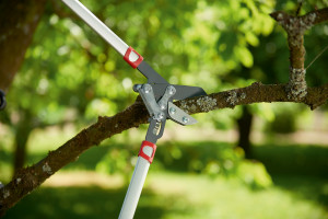 Foarfeca crengi 50mm parghie WOLF-Garten POWER CUT RS 800 V 'anvil' - Img 2