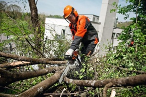Motoferastrau pe benzina Stihl MS 261, 3.8 CP, sina 40cm 1.6mm .325" 26 RS - Img 3