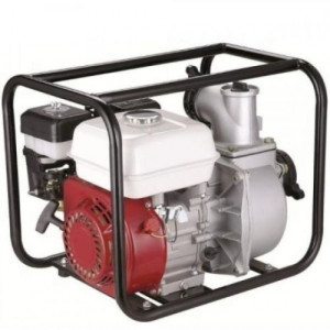 MOTOPOMPA ECONOM DKD, QGZ 50-32, cu piulite si stut furtun, sita sorb - Img 2
