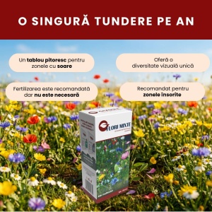 Semințe Flori Mixte, amestec de flori anuale și perene, talie medie, 0.25 kg, Gazonul - Img 2