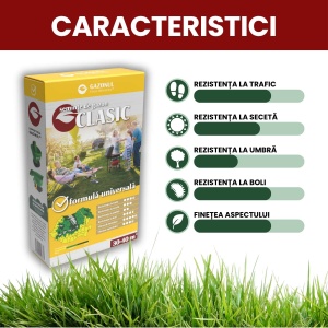 Semințe Gazon Clasic, amestec versatil pentru grădini și spații publice, 0.75 kg, Gazonul - Img 2