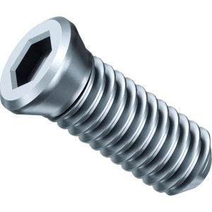 Surub de strangere SX pentru AKFH17, 31350076000, Fein