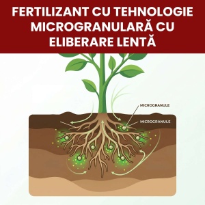Îngrășământ MicroFeed microgranulat pentru sol fertil și nutriție de durată, 10 kg, Gazonul - Img 3