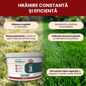 Îngrășământ Power-N cu eliberare controlată pentru înverzire rapidă și regenerare, 5 kg, Gazonul - Img 2