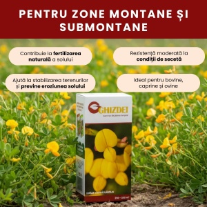 Semințe de Ghizdei pentru zone montane și submontane, 500 g, Gazonul - Img 2