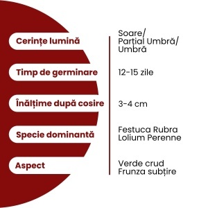 Semințe Gazon Carpați, cu frunză subțire, pentru zone cu umbră, 3 KG, Gazonul - Img 2