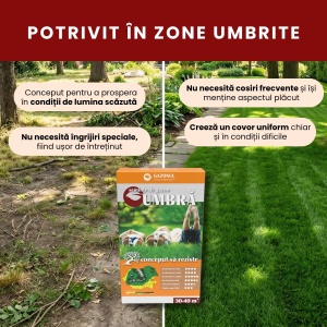Semințe Gazon Umbră pentru livezi, spații umbrite și semiumbrite 20 kg, Gazonul - Img 2