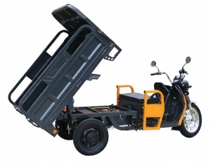 Triciclu Electric Cargo Progarden TRIVO 3000, 25km/h, 72V, 58Ah, incarcator inclus - Img 2