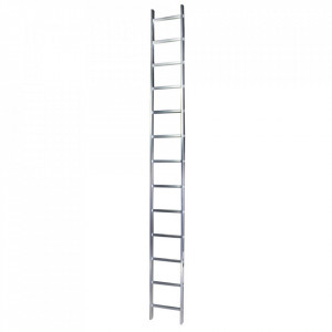Bisonte Scara simpla Bisonte 11 trepte, STR111 3.00 m aluminiu (BT1006295) - Img 1