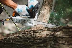 Motofierastrau pe benzina Stihl MS 194 T, 1,4 kW, 30-35 cm lama, pas lant 3/8 P - Img 2