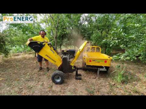 ProGARDEN TB100E Tocator resturi vegetale, 12CP, benzina, 6mc/h, 65-100mm, pornire electrica