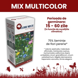 Semințe Flori Mixte, amestec de flori anuale și perene, talie medie, 0.25 kg, Gazonul - Img 3