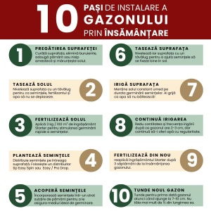 Semințe Gazon Clasic, amestec versatil pentru grădini și spații publice, 0.75 kg, Gazonul - Img 3