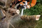 Motofierastrau pe benzina Stihl MS 201 TC-M, 1,8 kW, 35 cm lama, pas lant 3/8 P - Img 2