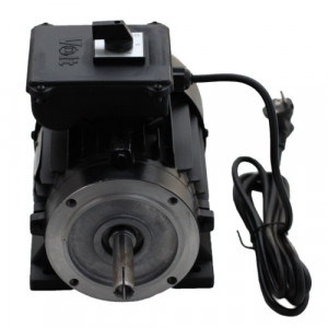 Motor electric pentru aparat de muls, Gardelina