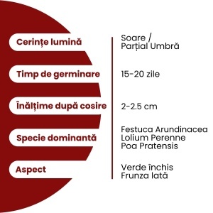 Semințe Gazon Secetă pentru climat uscat și zone fără sistem de irigare 20 kg, Gazonul - Img 4