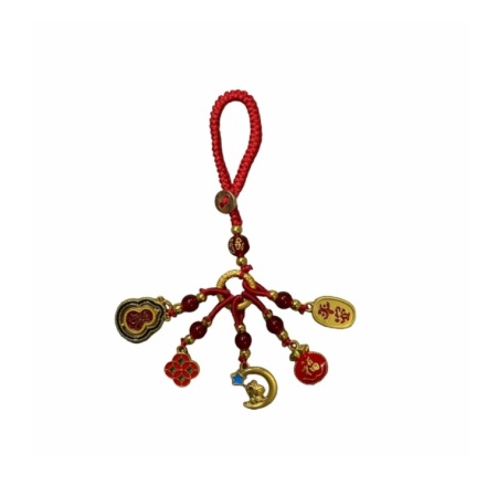 Amuleta Feng Shui diferite motive