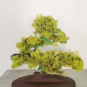 Bonsai cu licheni naturali stabilizati pe suport lemn 20 cm