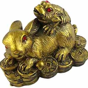 Statueta Feng Shui Iepure cu broasca raioasa pe monede 4,5 cm, model Q37
