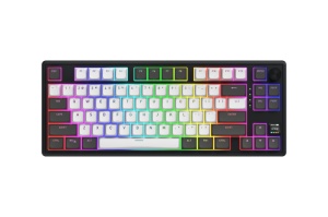 HATOR Skyfall Pro Wireless 80. Keyboard form factor: 80%. Keyboard style: Straight. Connectivity technology: Wired & Wireless, Device interface: USB + RF Wireless + Bluetooth, Keyboard key switch: Mechanical, Keyboard layout: QWERTY. Backlight type: RGB