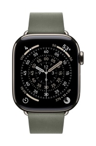 Apple Watch 42mm Sage Gray Modern Buckle - Large
