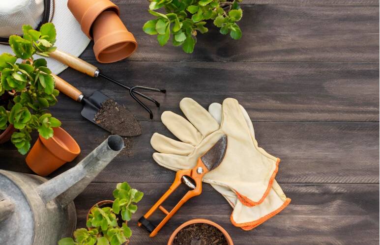 Amenajarea gradinii: 4 ustensile moderne care iti usureaza munca