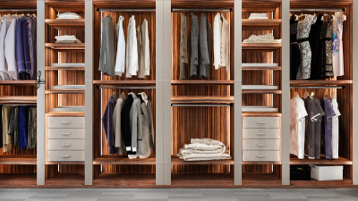 Compartimentare Dressing: Ghid Complet cu Idei, Modele și Soluții Practice pentru Orice Spațiu