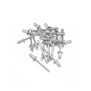Pop nituri 4x11mm set 100