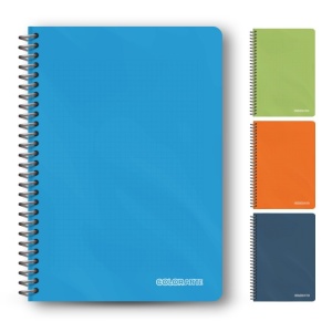 Caiet Dictando cu spirala plastic, 100 file, studentesc, coperta plastic, diverse culori