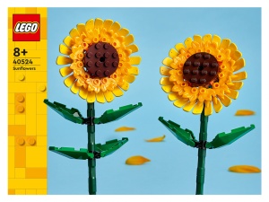 FLORILE SOARELUI, LEGO 40524 - Img 2