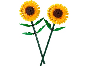 FLORILE SOARELUI, LEGO 40524 - Img 3