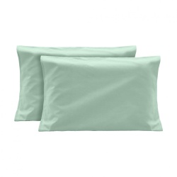 SET 2 FETE DE PERNA 50X70 CM VERDE