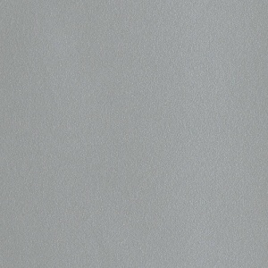 Blat bucatarie Argintiu D301 PS52 4100x600x38mm