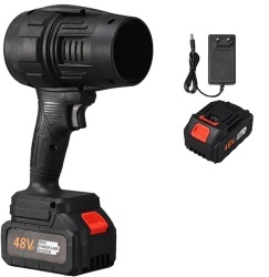 Suflanta de aer, acumulator 48 V si incarcator, Negru