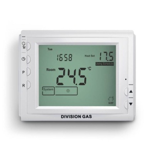 Termostat ambiental programabil cu fir DG909