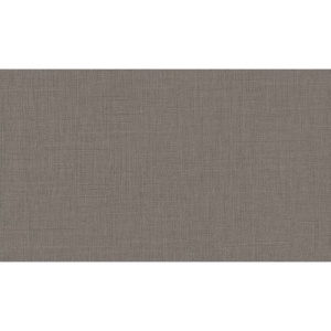 Pal melaminat In Antracit F433 ST10 2800x2070x18mm