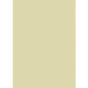Pal melaminat Wasabi U617 ST9 2800x2070x18mm