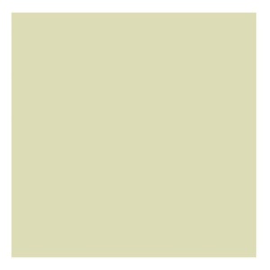 Pal melaminat Verde Fistic D304 PS13 2800x2070x18mm