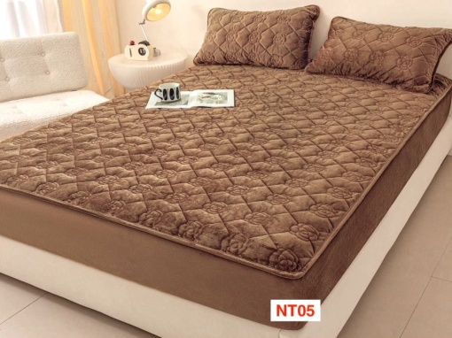 Huse De Pat / Topper Cu Elastic Si 2 Fete De Perna, 160X200, NT05