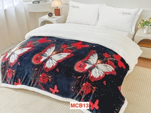 Paturi cocolino cu blanita 2.3Kg, 200x230cm, MCB13