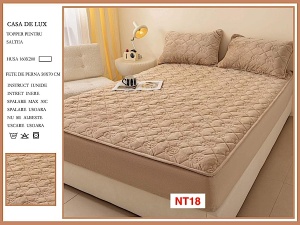 Huse De Pat Topper Cu Elastic Si 2 Fete De Perna, 160X200, NT18