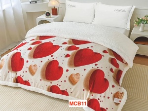 Paturi cocolino cu blanita 2.3Kg, 200x230cm, MCB11