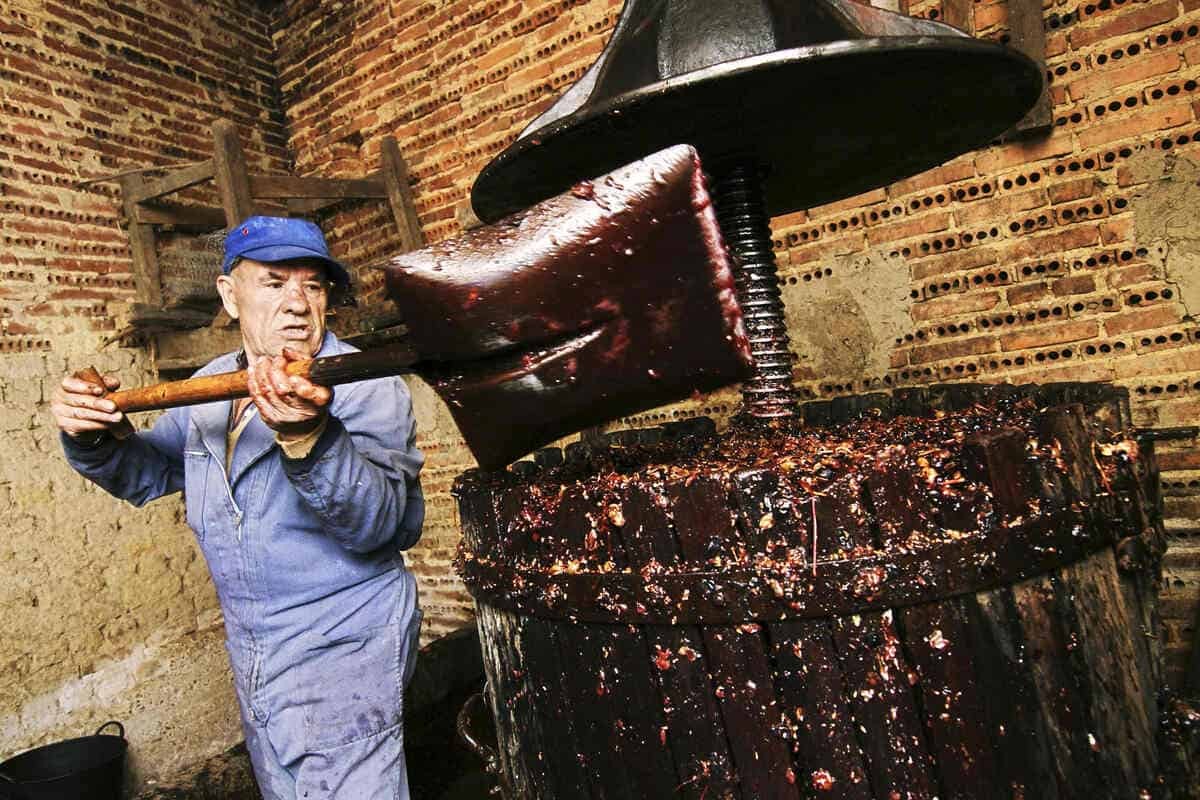 Fermentarea vinului - ghid practic pentru producătorii amatori