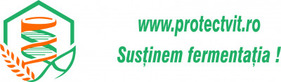Protect Consult