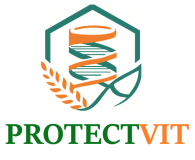 ProtectVit