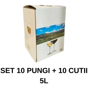 CUTIE CASERATA PENTRU PUNGA BAG-IN-BOX