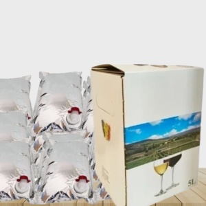 Pachet 10 pungi+cutii caserate bag-in-box 5L - Img 1