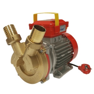 Electropompa ROVER 40, 1,2 HP/1450 rpm, 6500l/h