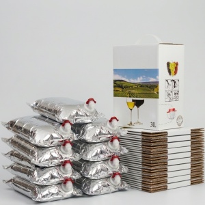 Pachet 10 pungi+cutii caserate bag-in-box 3L